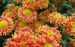 Калейдоскоп