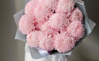 Розовый Зефир