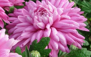 Солнечная Башкирия