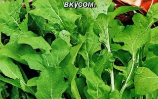 Пакет семян Индау Изумрудные узоры