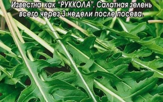 Пакет семян Индау Красотка