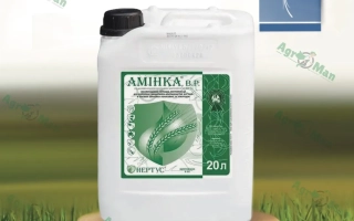 Белая канистра с этикеткой АМИНКА на зелёном фоне