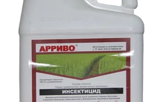 Белая канистра с этикеткой Арриво для инсектицидов