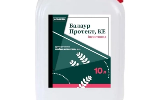 Балаур Протект