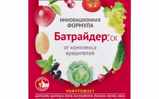 Батрайдер, СК