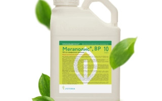 Бутылка с инсектицидом Bisectrisa BP на зеленой этикетке - Бисектриса