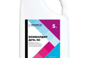 Бомбардир Дуо