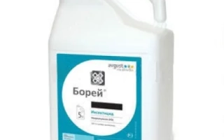 Белая канистра с этикеткой Борей