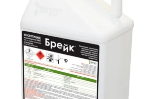 Белая канистра с этикеткой Брейк