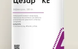 Бутылка с инсектицидом Цезар КЕ от ADAMA - Цезар к.е.