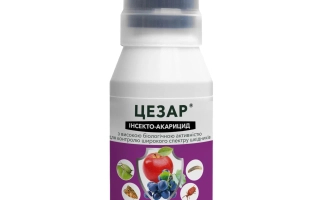 Cezar c.e., Инсектицид (Bifenthrin, 100 g/l)