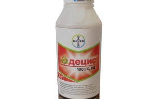 Децис 100 ЕС