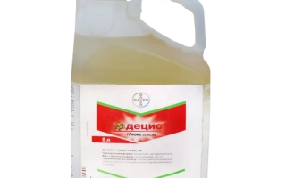 Канистра с инсектицидом Децис ф-Люкс 25 ЕС к.е.