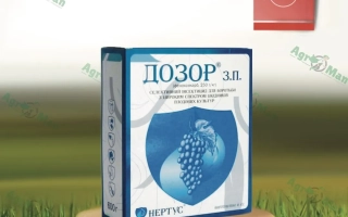 Упаковка инсектицида «ДОЗОР з.п.» с изображением винограда на фоне травы.