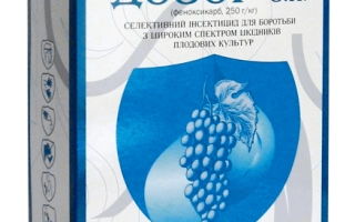 Дозор з.п., инсектицид