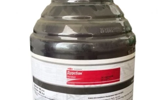 Канистра с инсектицидом Дурсабан 480, зелёная крышка и этикетка