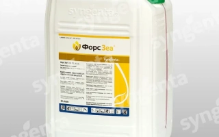 Форс Зеа 280 FS