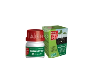 Инициатор 200