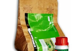 Инициатор 200 Т