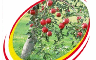 ИНСЕГАР, ВДГ