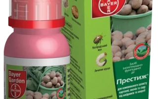 Престиж 290 FS