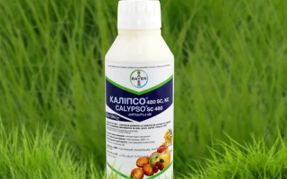 Калипсо 480 SC к.с., (тиаклоприд, 480 г