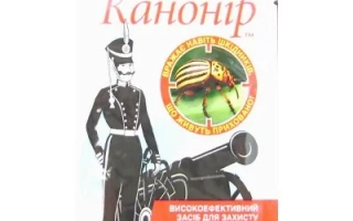 Канонир
