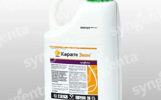 Каратэ Зеон 050 СS