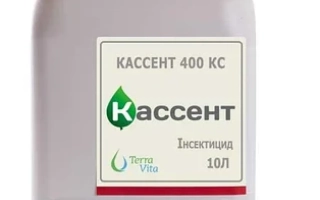 Kassent 400 CS