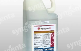 Концеп ИИИ 960 ЕС