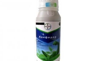 Кондор в.р.к.