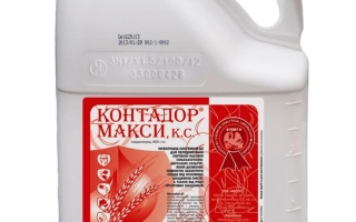 Контадор Макси К.с.