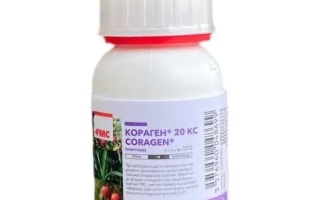 КОРАГЕН 20, КС