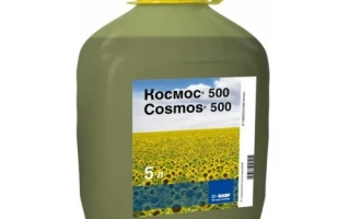 Канистра с инсектицидом КОСМОС 500 на фоне подсолнечника - КОСМОС 250 Т.К.С.