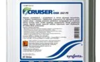 Круизер 600 FS