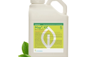 Бутылка с инсектицидом Марш, КС на зелёном фоне