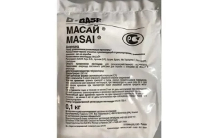 Масай