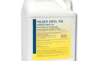 Мидер Про, ТН