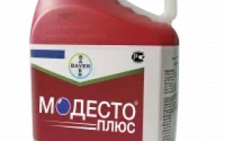 Модесто Плюс 510 FS