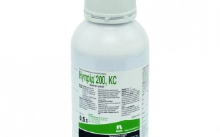 Бутылка с препаратом Нуприд 200 к.с. на белом фоне