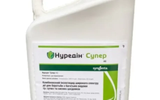 Нуредин Супер