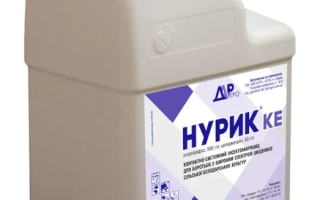 Нурик