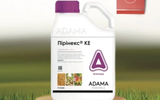 Бутылка с инсектицидом Пиринекс® KE на деревянной подставке на фоне травы - ПИРИНЕКС 25 МК С