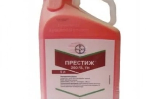 Престиж 290FS