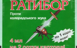 Ратибор