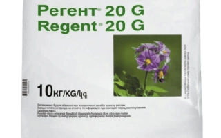 Регент 20 G