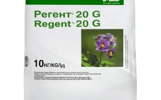 Регент 20 G ДГ