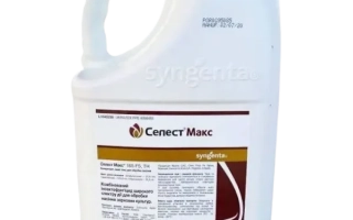 СЕЛЕСТ МАКС 165 FS