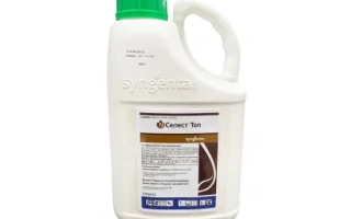 Селест Топ 312,5 FS