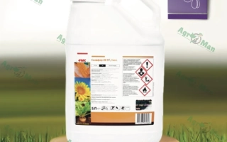 Семафор 20 SТ